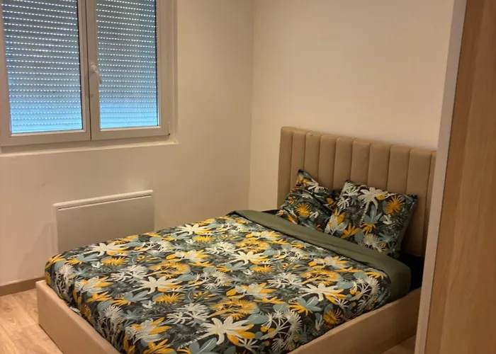 Aix Les Bains Bel 3 Pieces Proche Du Parking Prive 公寓